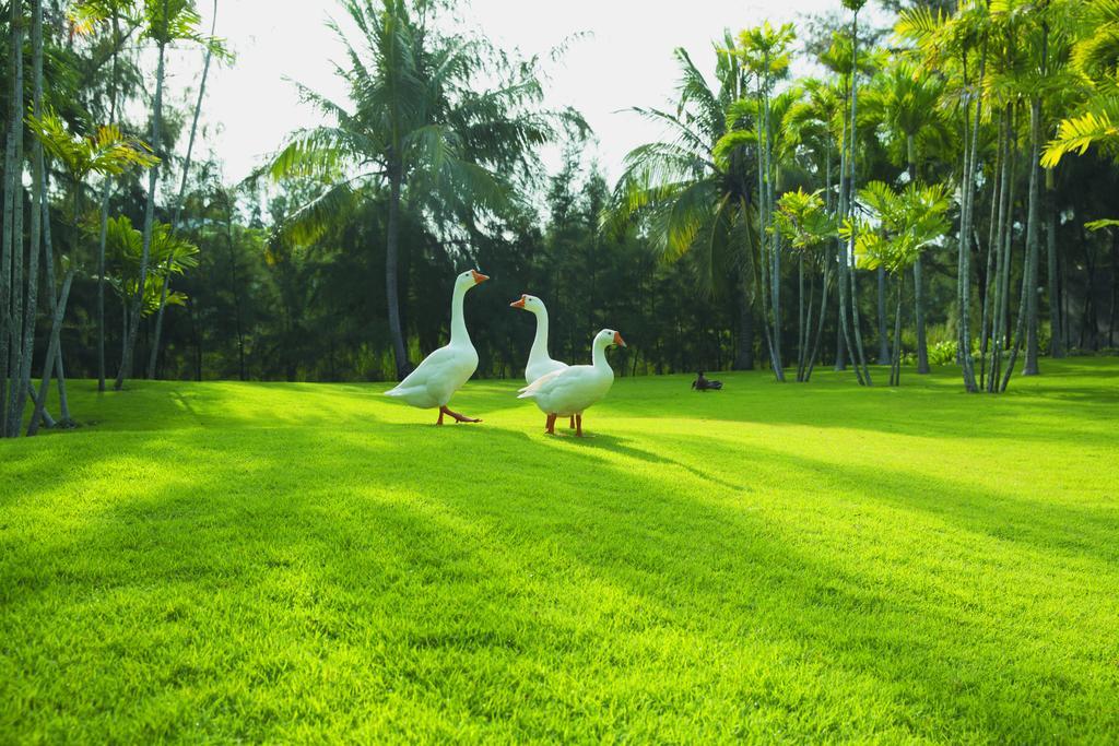Sanctuary Residential Resort Community Vung Tau Eksteriør bilde